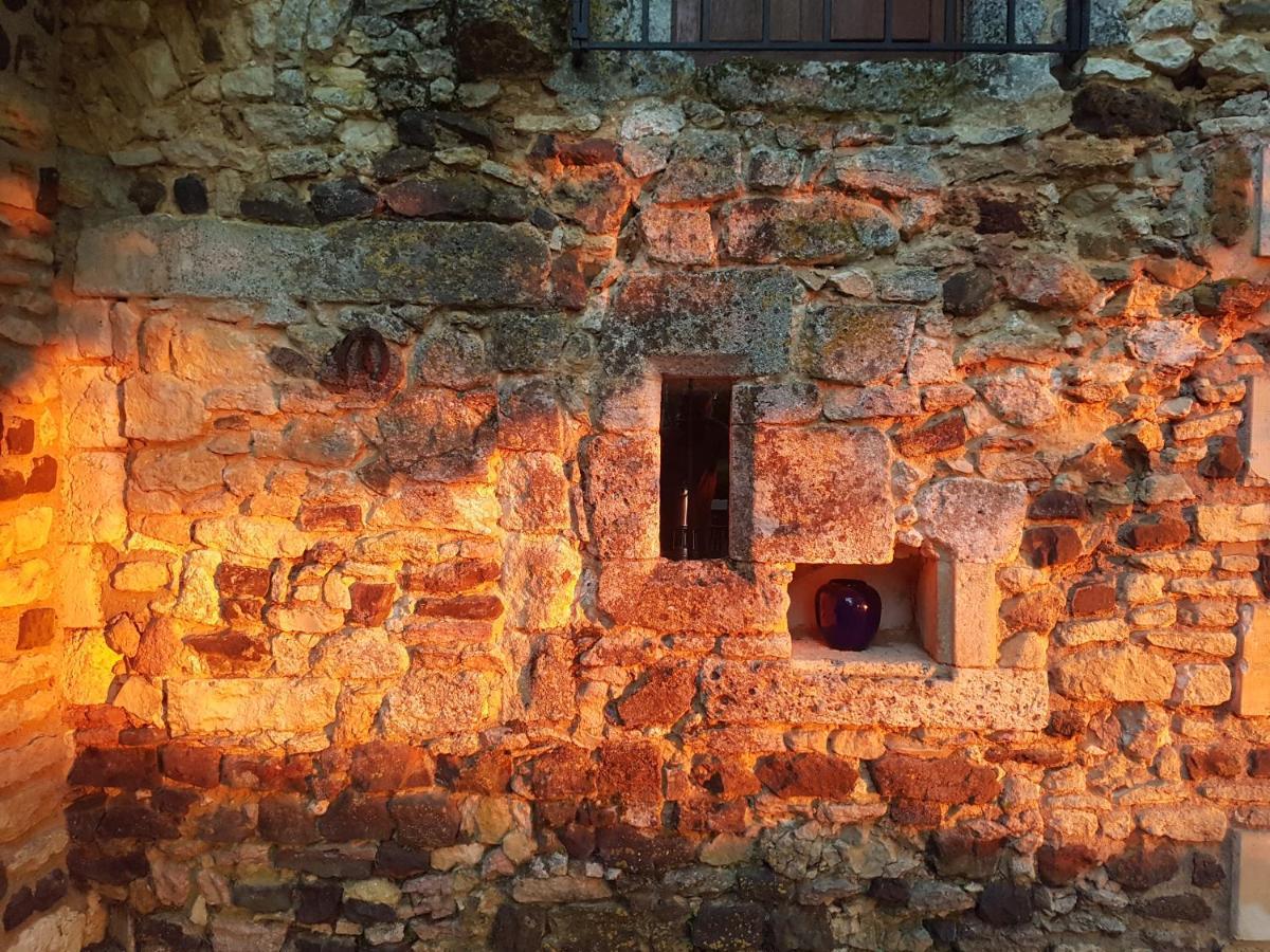 Maison Forte Perreuse Treigny Εξωτερικό φωτογραφία